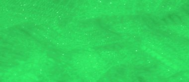 Yumuşak parıldayan ışığı olan yeşil dantelli kumaş bulanıklığı narin yüzeyinden yansıyor. Karmaşık dantel deseni tasarıma zarafet ve sofistike bir dokunuş ekler ve rüya gibi bir doku yaratır..