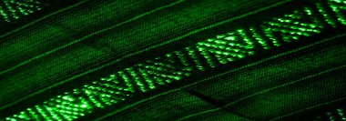 Bu yakın plan görüntü, yüzeyde parıldayan ışık çizgileriyle yeşil desenli kumaşı gösteriyor. Kumaşın lifleri ve dokuları açıkça görülebiliyor, bir doku algısı yaratıyor..