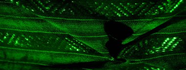 Büyüleyici parıltılı desenli koyu yeşil kumaş. Karmaşık tasarımlar aydınlatmayla vurgulanır, ona soyut ve lüks bir his verir, parlak dokularla vurgulanır..