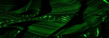 Parlayan parıltılı, geometrik desenli, karmaşık bir şekilde tasarlanmış yeşil dokuma ürünü. Katlama ve ışık oyunu parlak ve dinamik bir görsel etki yaratır..