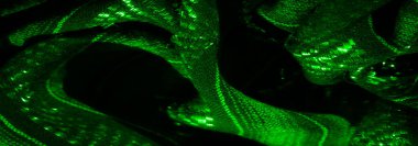 Işıldayan liflerle örülmüş yeşil bir kumaşın bulanıklığı ve parlak röfleler. Yakın plan, tekstil dokusunu ve ışık oyununu geliştiren parlak ipliklere odaklanır..