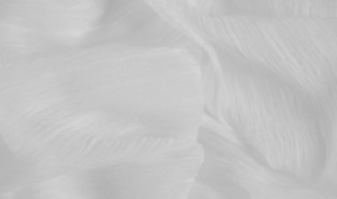 Beyaz kumaşın yumuşak kıvrımlarını bulanıklaştırarak dingin ve minimalist bir estetik yaratıyor. Hassas dokusu ışığı yakalar. Kumaşın pürüzsüz yüzeyinin pürüzsüz ve nazik akışını vurgular..