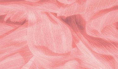 Yumuşak, akıcı kıvrımları ve pürüzsüz bir dokusu olan şeftali rengi bir kumaşın bulanıklığı. Hassas kırışıklıklar ve ince parıltı, kumaşın görsel çekiciliğini arttıran sakin ve zarif bir estetik yaratır..