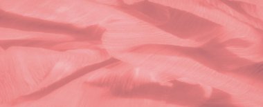 Karmaşık kıvrımları ve hassas dokusu olan pastel pembe kumaş bulanıklığı. Pürüzsüz malzeme zarifçe akıyor, bu da onu gelişmiş tekstil tasarımları ve arka planlar için ideal kılıyor..