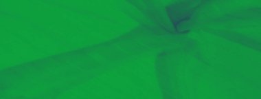 Narin kıvrımları ve ince dalgaları olan yumuşak yeşil kumaş bulanıklığı minimalist ve zarif bir doku yaratıyor. Malzemenin nazik hareketi huzurlu ve rahatlatıcı bir görsel deneyim sunuyor.