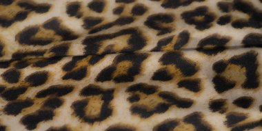 Yumuşak, akışkan sarı kumaşlı, koyu siyah hayvan desenli dinamik bir yakın plan. Kumaşın dokusu ve renkleri çarpıcı bir karşıtlık yaratır, yaratıcı projeler için ideal..