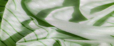 Açık yeşil kumaş, parlak gümüş renkleri ve ince, düz olmayan yeşil çizgileri var. Kumaşın nazik kıvrımları dinamik bir hareket ve ışık yansıması yaratır..