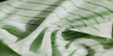 Hafif çapraz çizgileri ve parlak detayları olan açık yeşil kumaş katmanları. Kumaşın zarif kıvrımları, ışığı hafifçe yansıtarak ve görsel derinlik ekleyerek huzurlu bir atmosfer yaratıyor..