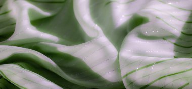 Işıldayan gümüş aksanlı ve ince yeşil çizgili yumuşak, açık yeşil bir kumaş zarif bir şekilde katlanır. Işık parıldayan dokuyu ve pürüzsüz, narin görüntüyü güçlendirir..