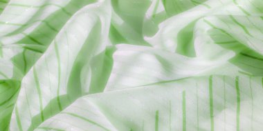 Açık yeşil ve beyaz çizgili yumuşak kıvrımlı kumaş bulanıklığı, hafif bir parıltı sergiliyor. Kumaşın akışı ve tasarımı moda veya iç tasarım uygulamaları için sofistike bir dokunuş sunar.