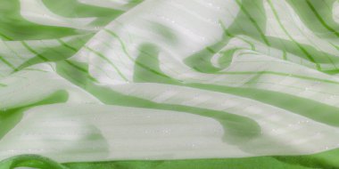 Narin yeşil çizgili kumaşın bulanıklığı, hafif kıvrımlar halinde akarken ışık onun yumuşak parıltısını yakalıyor. Çizgiler, çeşitli tekstil uygulamaları için ideal modern ve taze bir tasarım sunuyor..