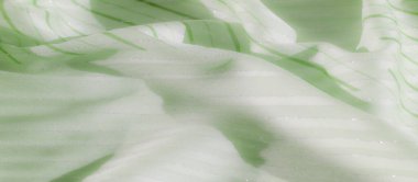 Bulanık, yumuşak yeşil kumaş zarif dalgalı çizgiler ve ince parlak aksanlarla zarif ve narin bir doku oluşturur. Arkaplan ya da tekstil tasarımları için ideal.