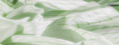 Açık yeşil kumaştan bir bulanıklık ve ince bir parıltı. Kumaşın pürüzsüz yüzeyi narin yeşil çizgilerle çelişiyor, yumuşak ve zarif bir doku yaratıyor..