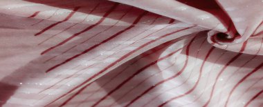 Beyaz kumaş yüzeyinde dalgaya benzer bir desen oluşturan yumuşak kırmızı çizgiler akıcı ve zarif bir doku oluşturur. İnce parıltı aksanları kumaşa ruhani bir ışık veriyor..