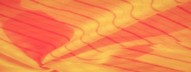 Turuncu çizgilerle süslenmiş sarı kumaş bulanıklığı göz alıcı bir etki yaratıyor. Işığın ve gölgenin etkileşimi kumaşları, kıvrımları ve dokuları vurgular..