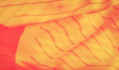 Bulanık sarı ve turuncu kumaşlar ince çapraz çizgiler ve kıvrımlar. Pürüzsüz, parlak yüzey soyut bir şablon oluşturur, ışık ve dokuma sanatsal bir oyun yaratır..