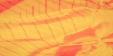 Zengin turuncu bir tonu ve ince çizgili dokusu olan altın sarısı kumaş bulanıklığı. Yumuşak kıvrımlar ve akışkan madde bu soyut tasarıma derinlik katar, sıcaklık ve hareket hissi uyandırır..