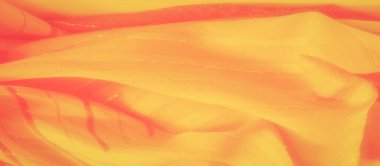 İnce çizgili aksanlı, parlak ışık yansımalı pürüzsüz sarı bir kumaşın bulanıklığı. Yumuşak doku ve canlı rengin kombinasyonu sanatsal kullanım için sıcak, soyut bir görsel yaratıyor..