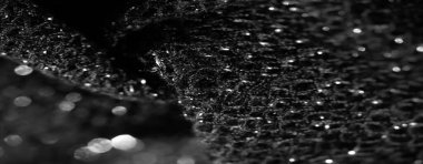 Parlak ipliklerle örülmüş siyah kumaş bulanıklığı yumuşak bir ışıltı etkisi yaratıyor. Kumaşlı kumaş ve karmaşık desenler moda için mükemmel, zarif ve kaliteli bir tekstil yaratıyor..