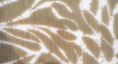 Bu açık kahverengi kumaş boyunca bej ve beyaz renkli karmaşık bir desen akar. Yumuşak kıvrımlarını ve hassas dokusunu vurgular. Kumaş doğal ve sofistike bir estetiği çağrıştırıyor.