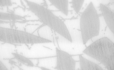 Bulanık Bu gri ölçekli kumaş görüntüsü yumuşak kıvrımları ve soyut bir şablonu ortaya çıkarır, ışık ve gölgeyle kusursuz bir şekilde harmanlanır. Kumaşların narin dokusu ruhani, neredeyse ağırlıksız bir görünüş yaratıyor.