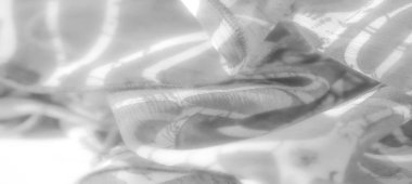Yumuşak, akışkan kıvrımları ve karmaşık desenleri olan bulanık beyaz kumaş. Yumuşak dokusu ve yumuşak gölgeleri kumaşın zarafetini artırmak için narin, havadar bir görünüm yaratır.