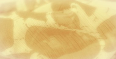 Bulanık sarı kumaş. Karmaşık üzengimsi desenleri var. Işık ve gölgede. Yumuşak kıvrımlar ve hassas doku harmanlanarak sıcak ve soyut bir atmosfer yaratıyor..