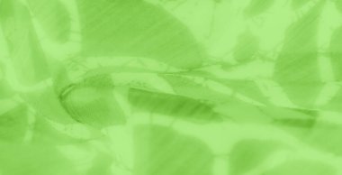 Pürüzsüz kıvrımlı yeşil kumaşlar ve soyut beyaz ve koyu yeşil tasarımlar. Yumuşak doku ve nazik hareket, sakin ve soyut tasarımlar için zarif, akıcı bir estetik yaratır..