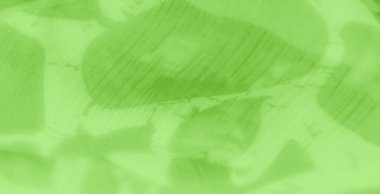 Bulanık yeşil kumaş, soyut, organik şekiller ve yumuşak kıvrımlar. Akan tasarım dinamik ama sakinleştirici bir görsel yaratıyor, tekstil sanatında kullanılmak için ideal, ya da benzersiz, akışkan bir arka plan olarak.