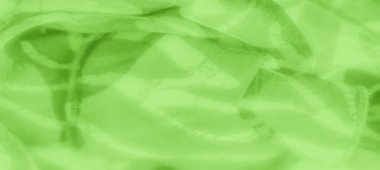 Sıvı desenli bulanık yeşil kumaş ve kıvrımların kusursuz bir karışımı. Soyut tasarım, yaratıcı projelerde dingin ve akıcı arka planlar yaratmak için mükemmel yumuşak bir hareket sunar.
