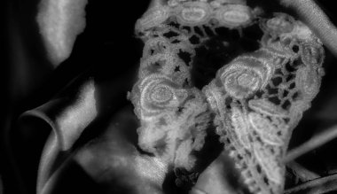 Görüntü, üzerinde karmaşık dantel desenleri olan parlak kumaştan bir yakın plan. Doku ışığın etkileşimiyle vurgulanır. Zarif ve lüks bir his yaratır..