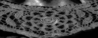 Karmaşık dantel kumaş bulanıklığı parlak saten bir yüzeyin üzerinde. Dantelin ayrıntılı desenleri ile satenin pürüzsüz parıltısı arasındaki zıtlık ahenkli ve lüks bir görsel doku yaratır..