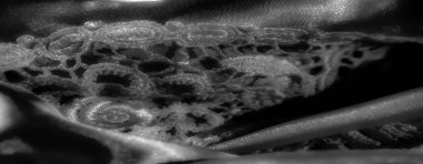 pürüzsüz kumaştan siyah bulanıklık karmaşık dalgalar ve kıvrımlar oluşturuyor. Saten yüzeyi ışığı yansıtır, parlak ışıklar ve gölgelerle parıldayan bir etki yaratır, lüks yüzeyini genişletir.