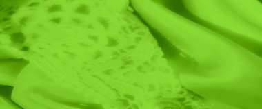 Detaylı dantel işçiliğiyle vurgulanmış yeşil saten kumaşın yumuşak kıvrımlarını bulanıklaştır. Dantelin karmaşık desenleri, saten yüzeyin pürüzsüz ve yansıtıcı yüzeyiyle güzel bir şekilde tezat oluşturuyor.