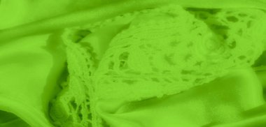 Karmaşık dantel kaplamalı bulanık yeşil saten kumaş. Hassas ve desenli bir desen sergiliyor. Yakın çekim kumaşın pürüzsüz kıvrımlarını ve dantelin ince detaylarını ortaya çıkarır.