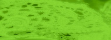 Narin dantel detaylarıyla vurgulanmış yumuşak neon yeşil kumaş katları. Dokuların ve kalıpların etkileşimi dinamik ama yatıştırıcı bir görsel deneyim yaratır..