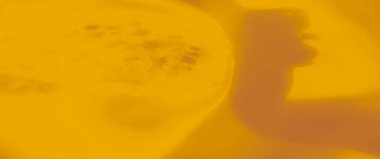 Yumuşak bir zemine yayılmış karmaşık desenli bulanık sarı dantel kumaş. Hassas dantelli detaylar güzelce vurgulanmış, sıcak ve rahat bir doku yaratıyor..