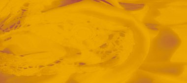 Pürüzsüz bir yüzeyde detaylı desenleri olan bulanık sarı dantelli kumaş, narin sanatın altını çiziyor ve tekstil tasarımı ve dekorasyonu için zarif, dokulu bir görünüm yaratıyor..