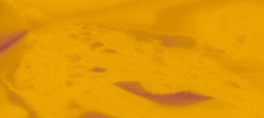 Zarif çiçek işlemeli yumuşak sarı dantel kumaş bulanıklığı. Hassas dantel ve pürüzsüz kıvrımlar akışkan dokuya sanatsal bir dokunuş ekler, sofistike ve zarafet uyandırır..