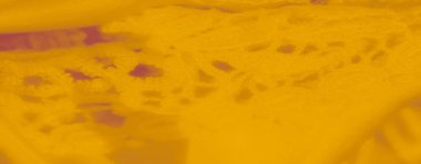 Görüntü. Bu resim, karmaşık tasarım kalıpları özenle sergilenmiş parlak sarı dantel kumaşın yakın plan görüntüsünü vurgular. Yumuşak kıvrımlar ve ince dokular kumaşı lüks gösteriyor.