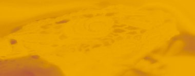 Çiçekli ve dairesel motifli sarı dantelli kumaş bulanıklığı. Saten benzeri pürüzsüz bir kumaşı örtüyor. Karmaşık desen dokuyu geliştirir, zarif elbiseler ve dekorasyonlar için mükemmel hale getirir..