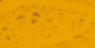 Sarı dantelli kumaşın yumuşak kıvrımları çerçeveye yayılarak hassas nakışları ve karmaşık detayları vurguluyor. Nazik ışıklandırma dantelin ince dokusunu ortaya çıkarır.