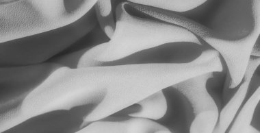 Karmaşık kıvrımları ve ince dokuları olan yumuşak gri pullu kumaş, yumuşak gölgeler bırakıyor ve maddenin pürüzsüz ve akışkan yapısını arttıran gölgeler oluşturuyor..