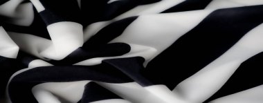 Alternatif siyah ve beyaz çizgileri olan düz bir kumaşın bulanıklığı, nazik kıvrımlar şeklinde katlanmış ve koyu ve koyu tonlardan oluşan koyu bir kontrast oluşturuyor. Kumaşın dokusu ve yumuşak akışı vurgulanmış