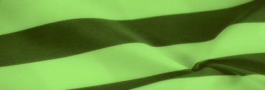 Alternatif koyu çizgileri olan akıcı yeşil kumaş bulanıklığı yumuşak kıvrımlar ve pürüzsüz doku hissi yaratıyor. Kontrast kumaşa derinlik ve görsel ilgi ekler..