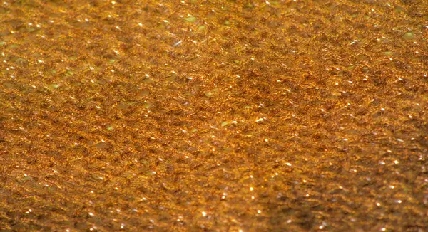 Derin bronzla parıldayan kumaş, ışıldayan parlak ışıklarla karışık dokuyu gösteriyor, ışık yansıtan nitelikleriyle lüks bir his yaratıyor..