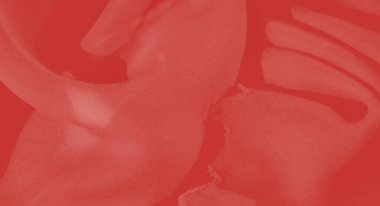 Bulanık yumuşak, akışkan kıvrımları olan zarif kırmızı bir kumaş sıcak ve pürüzsüz bir doku yaratır. Işığı ve gölgeyi ince dalgalarda yakalar. Lüks ve moda temaları için mükemmel..