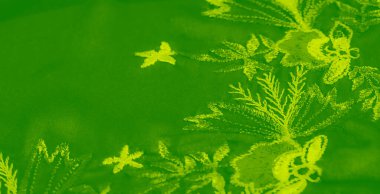 Görüntü, canlı yeşil kumaş. Detaylı çiçekli nakış, sergiler karmaşık yaprak ve dal desenleri, yumuşak desenli arka planda zarif ve doğal bir estetik oluşturuyor..