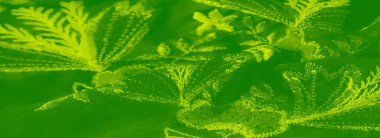 Görüntü - Yapraklı ve çiçek motifli, karmaşık botanik nakışlar sergilenen yeşil kumaş yakın çekim. Hassas dikişler, zengin kontrast ve canlı tonlarla dokulu bir yüzey oluşturuyor.