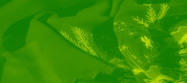 Karmaşık çiçek nakışlarıyla süslenmiş yeşil kumaş bulanıklığı yumuşak, organik bir doku ve akış yaratır. Parlak yeşil renk dokulu yüzeye canlılık ve zarafet ekler..